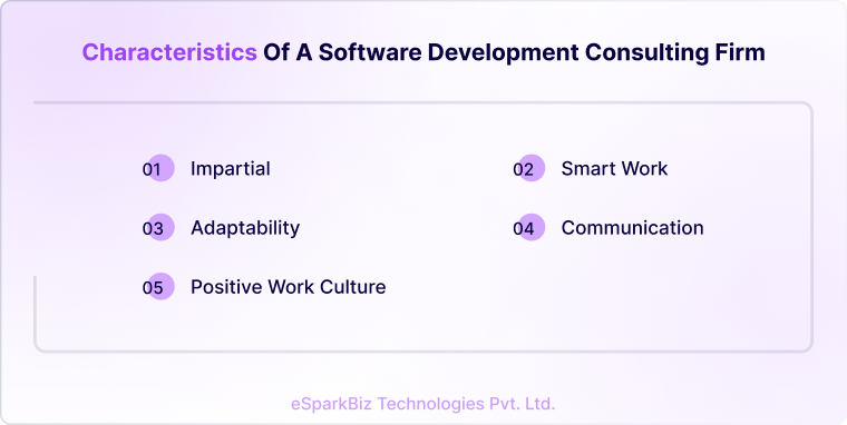 Software Development Consulting – A Comprehensive Guide 2 Characteristics of a software development consulting firm