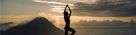 Wellness